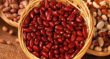 Výhody a poškození červených fazolí pro lidské tělo